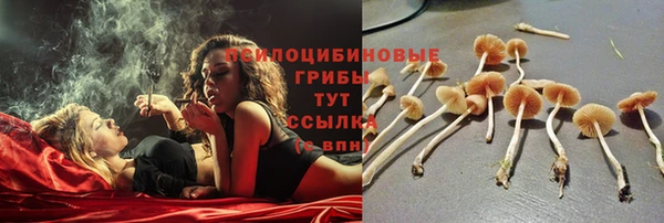каннабис Абаза