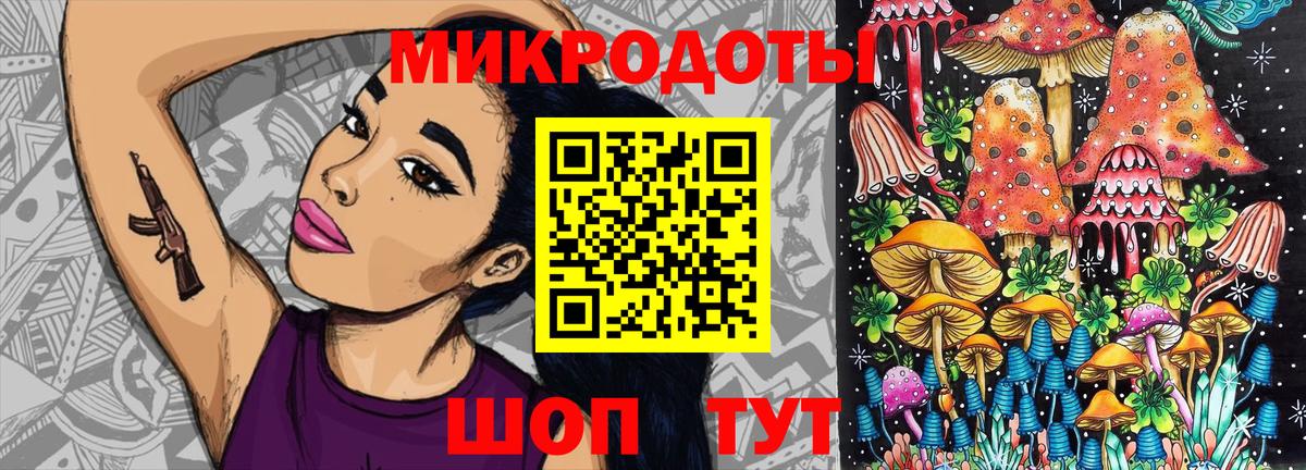 Псилоцибиновые грибы Psilocybe  Вход с VPN  Шали 