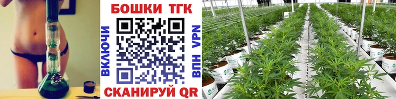 маркетплейс телеграм  Шали  Каннабис семена 